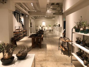 TRUNK WARE  EXHIBITION VOL.1